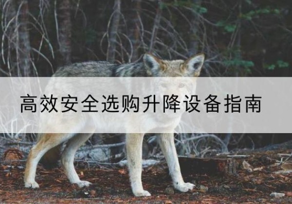 广水升降货梯厂家推荐-*安全选购升降设备指南