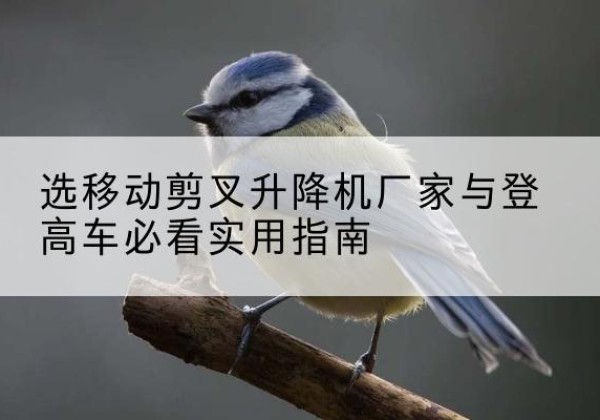 广水电动升降机厂家-选移动剪叉升降机厂家与登高车必看实用指南